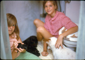 Dawn and Alicia go to the dogs!