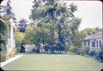 Lloyd, Lauralee, Craig, Lynn